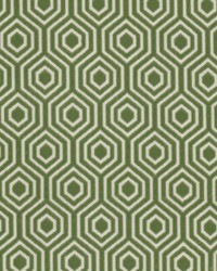 Verve 4 Dill by  Stout 