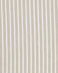 Vicinity 1 Pumice by  Stout 