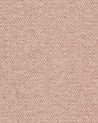 Voyager 4 Carnation by  Stout 