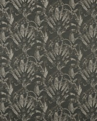 Wilamut 1 Hunter by  Futura Vinyls 