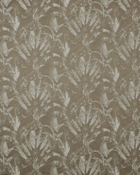 Wilamut 3 Olive by  Futura Vinyls 