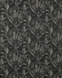 Wilamut 4 Night by  Futura Vinyls 