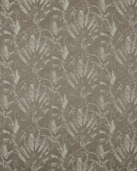 Wilamut 5 Acorn by  Futura Vinyls 