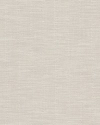 Yale 1 Ecru by  Stout 