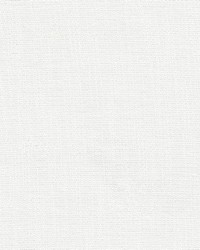 Yerba 1 White by  Stout 