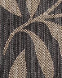 32366 629 by  Duralee 