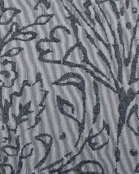 32397 79 by  Duralee 