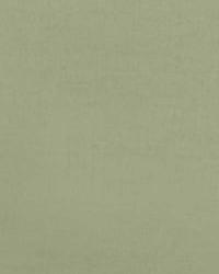 32498 399 by  Duralee 