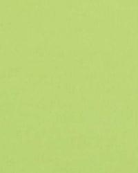 32498 609 by  Duralee 