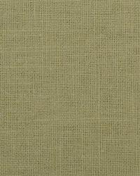 32538 251 by  Duralee 