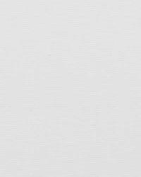 32649 84 by  Duralee 