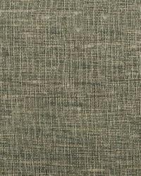 32655 58 by  Duralee 