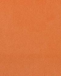 32665 36 by  Duralee 