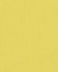 32714 66 by  Duralee 