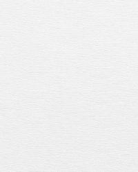 32725 81 by  Duralee 