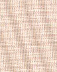 32738 36 by  Duralee 