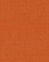 32770 34 by  Duralee 