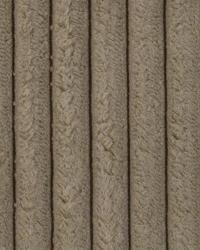 36164 120 by  Duralee 