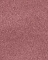 36203 304 by  Duralee 