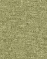 36255 354 by  Duralee 