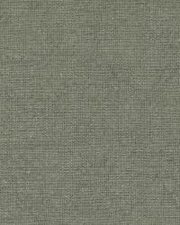 36274 343 by  Duralee 