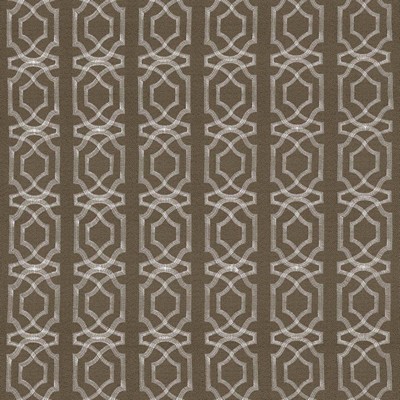 Kasmir Abacot Taupe in 5068 Brown Polyester  Blend Crewel and Embroidered   Fabric