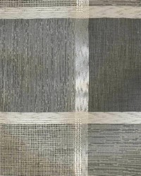 Adirondack Champagne by  Collier Campbell 