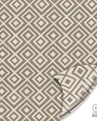 Amazing Truffle by  Kasmir 