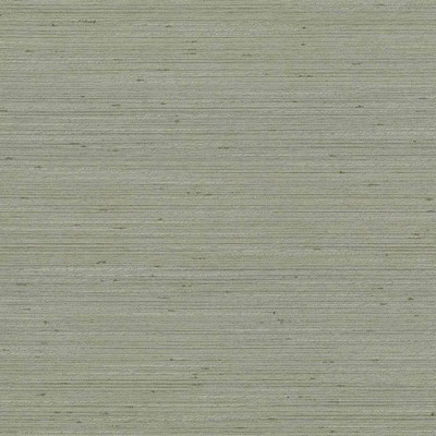 Kasmir Anantara Silver Sage in 5059 Silver Upholstery Polyester  Blend