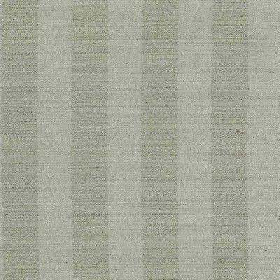 Kasmir Anantara Stripe Silver Sage in 5059 Silver Upholstery Polyester  Blend