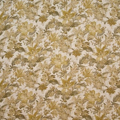 Kasmir Ansley Gardens Golden Glow in GRAND TRADITIONS VOL 1 Gold Flax  Blend Fire Rated Fabric Vine and Flower   Fabric