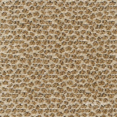 Kasmir Apres Cream in GRAND TRADITIONS VOL 2 Beige Rayon  Blend Fire Rated Fabric