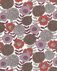 Arcodoro Bittersweet by   