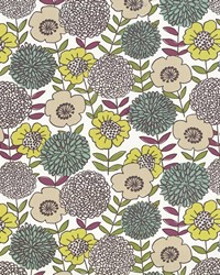 Arcodoro Honeydew by   