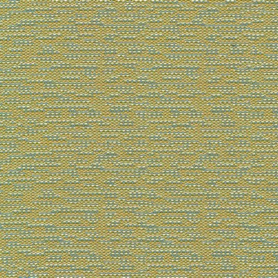Kasmir Asina Seagrass in 1420 Green Upholstery Polyester  Blend Fire Rated Fabric