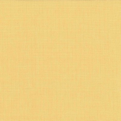 Kasmir Auberge Champagne in 5055 Beige Upholstery Polyester  Blend Fire Rated Fabric NFPA 701 Flame Retardant   Fabric
