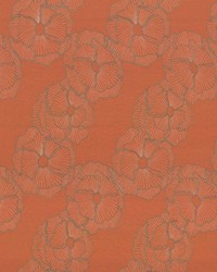 Augusta Garden Yam by   