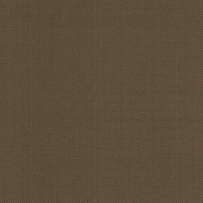 Kasmir Balducci Ranger in 5101 Brown Upholstery Cotton  Blend Fire Rated Fabric