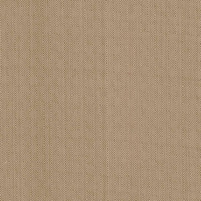 Kasmir Balducci Teastain in 5092 Brown Upholstery Cotton  Blend Fire Rated Fabric