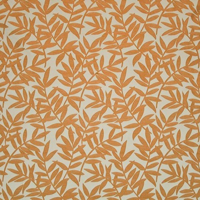 Kasmir Bamboozled Coral in 1405 Orange Upholstery Rayon  Blend Fire Rated Fabric Vine and Flower   Fabric
