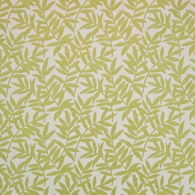 Kasmir Bamboozled Endive in 1406 Gold Upholstery Rayon  Blend Fire Rated Fabric Vine and Flower   Fabric
