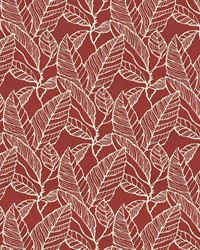 Banana Leaf Red Delicious by   