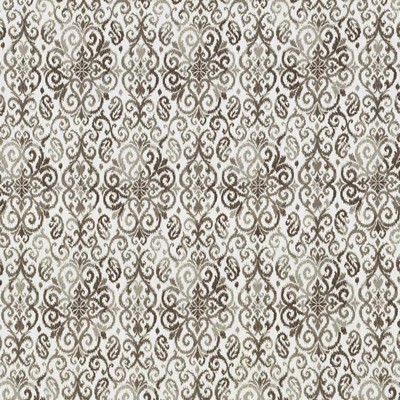 Kasmir Bengali Charcoal in IMPRESSIONS Grey Polyester  Blend Scroll  Ethnic and Global   Fabric