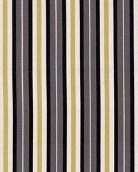 Blossom Stripe Graphite by  Kasmir 
