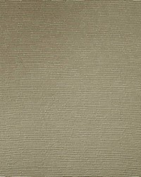 Blurred Lines Pewter by   