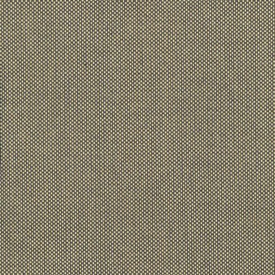 Kasmir Bolsa Gold in 5053 Gold Upholstery Cotton  Blend Fire Rated Fabric