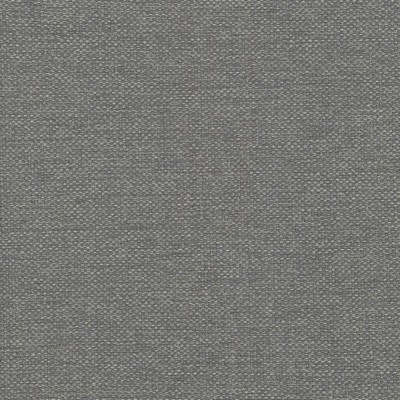 Kasmir Bolsa Zinc in 5053 Silver Upholstery Cotton  Blend Fire Rated Fabric