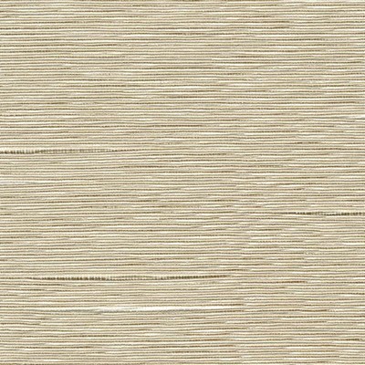 Kasmir Boxwood Oyster in 1319 Beige Upholstery Cotton  Blend
