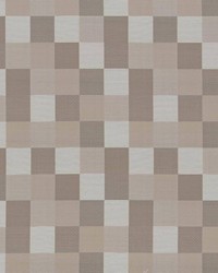 Brewster Check Driftwood by  Kasmir 