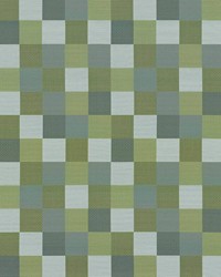 Brewster Check Grotto by  Kasmir 